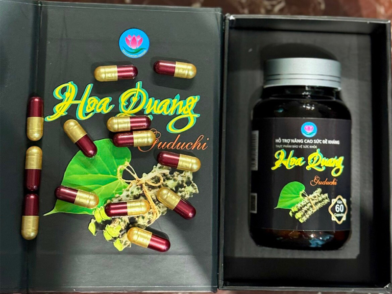 HOA QUANG GUDUCHI